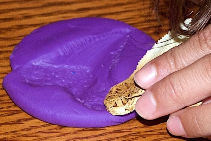 dinosaur activities for kids shows a piece of purple play dough and a child pressing a rock/tooth into it to make a print.