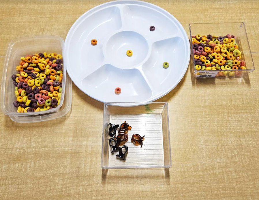 dinosaur activities for kids shows bins of cereal and hair clips. A tray in the middle has one circle cereal in each section.