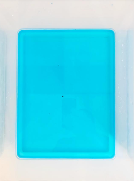 kindergarten activity shows a bin filled with blue water.