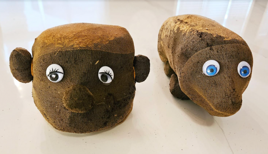 outdoor learning shows two grass heads.