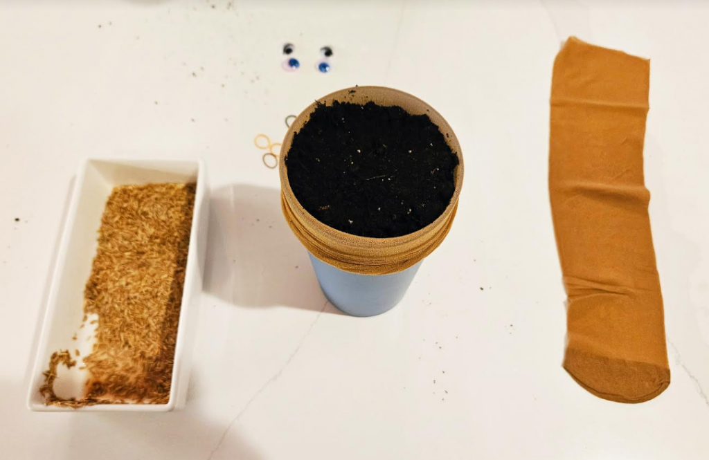 How to Make Grass Head Plants shows soil in a cup.