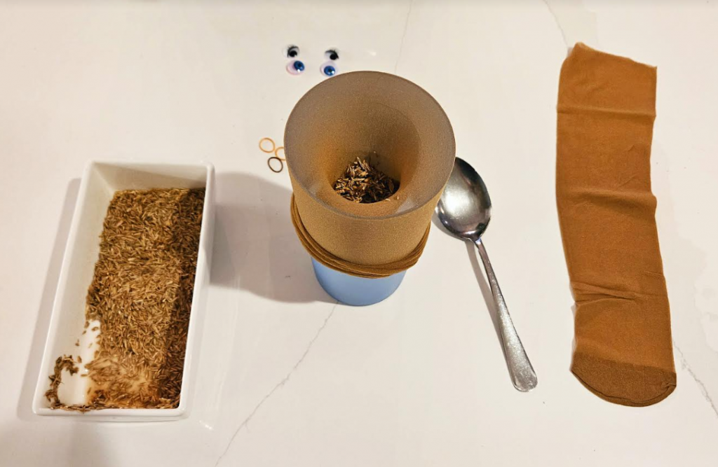 How to Make Grass Head Plants shows nylons in a cup with soil and seeds.