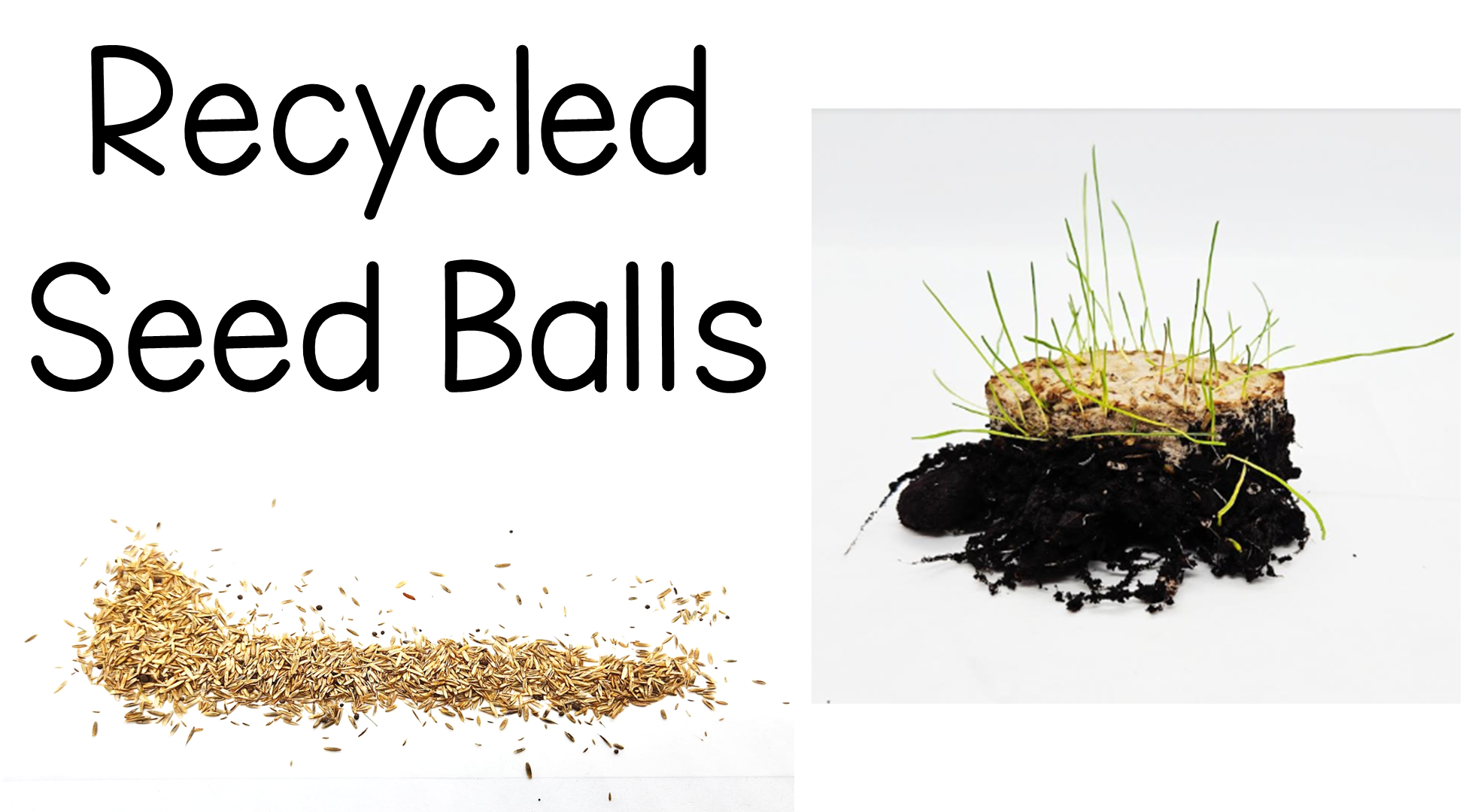 How to Make Seed Bombs from Recycled Paper
