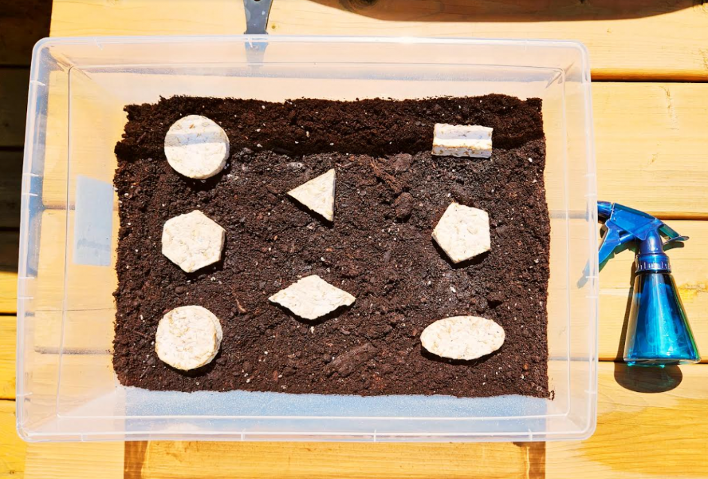 diy recycled seed bombs shows a bowl with dirt with seed bombs inside.