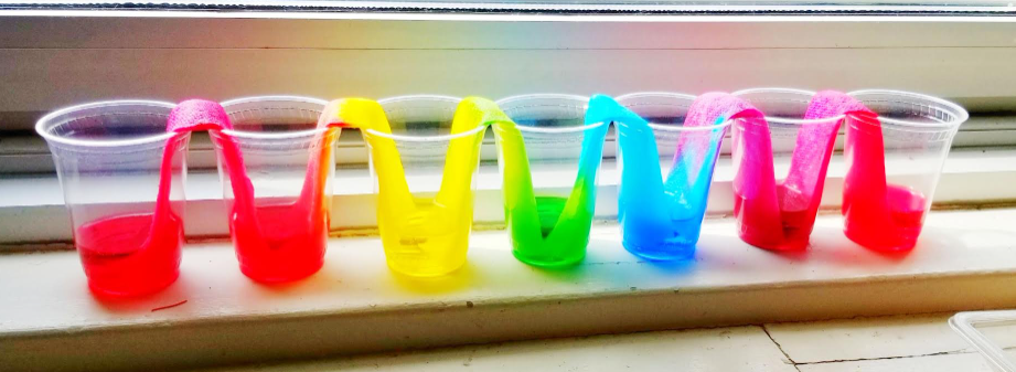 walking rainbow experiment shows cups with all the colors of the rainbow in each.