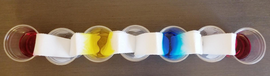 rainbow experiment shows cups with colored water from a birds eye view.