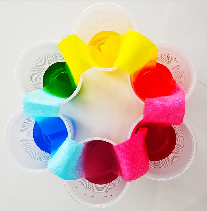 walking rainbow experiment shows a circle of cups with rainbow colored water in each.