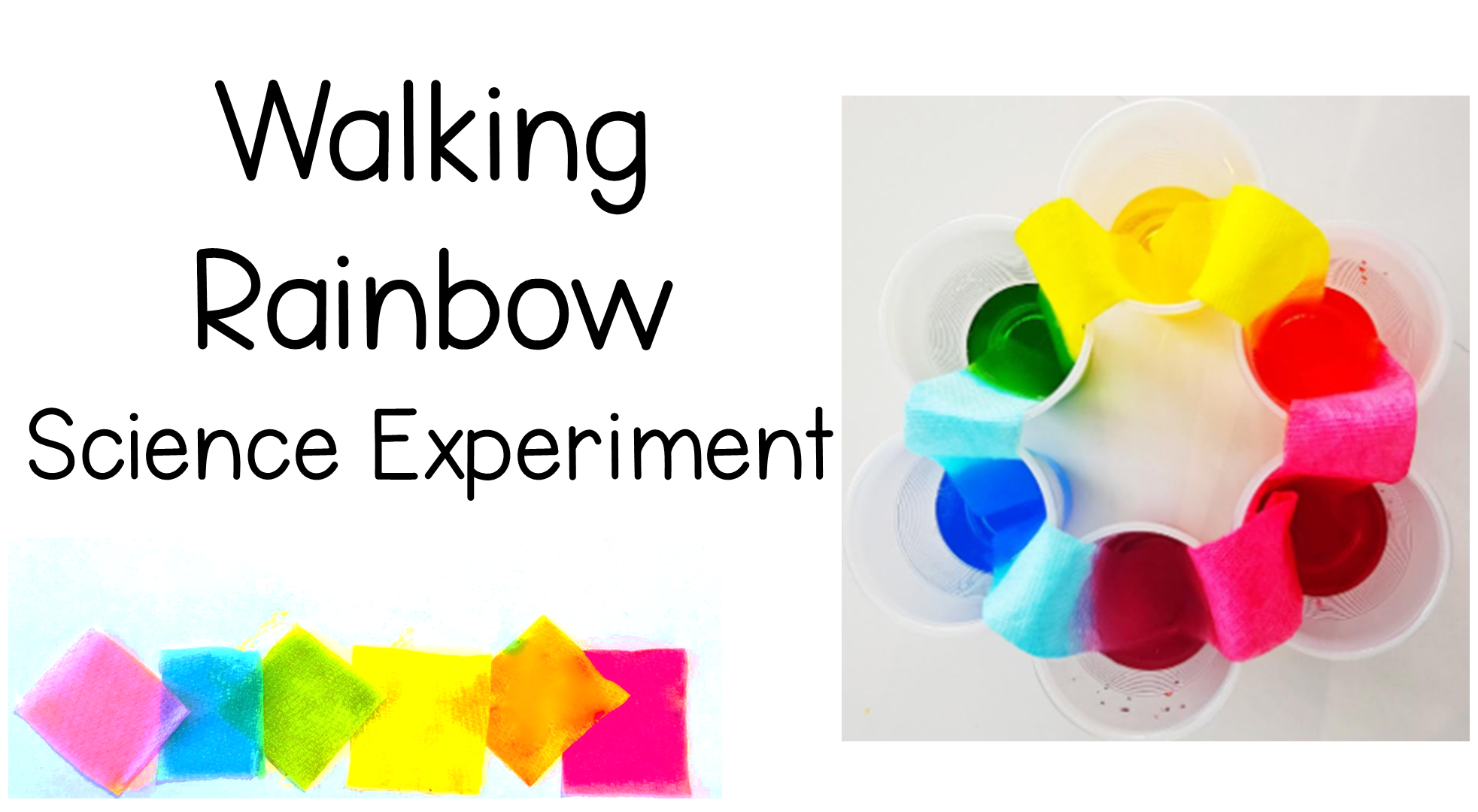 Walking Rainbow Experiment +Free Printable