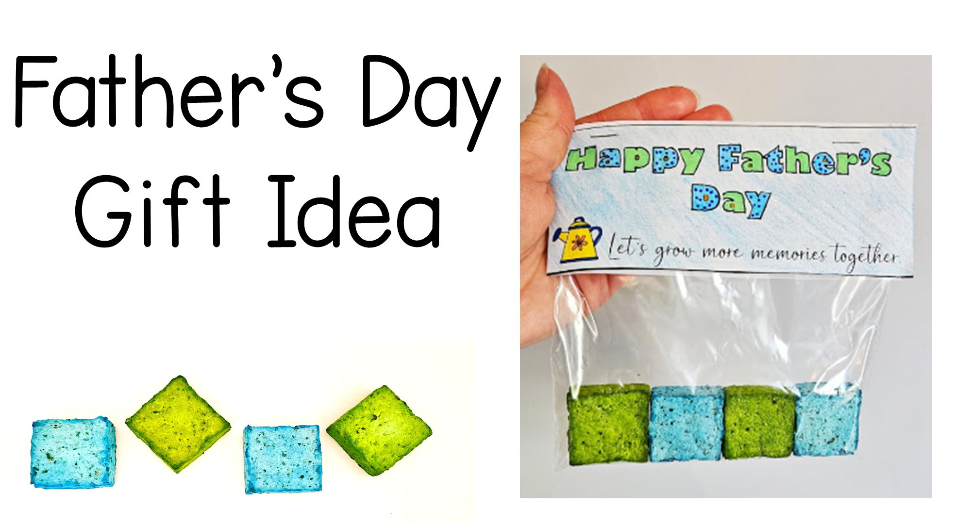 DIY Fathers Day Gift Idea