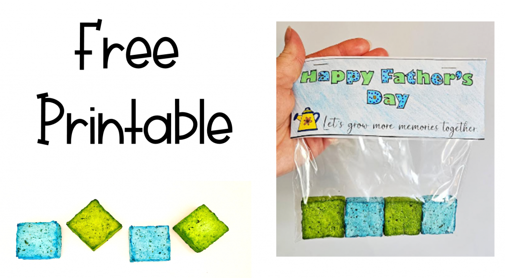 diy Fathers Day gift idea shows a free printable button with a happy fathers day gift bag.