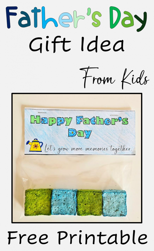 diy Fathers Day gift idea shows a pinterest pin.