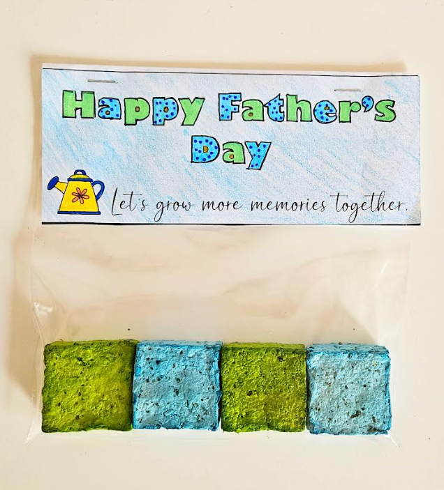 diy Fathers Day gift idea shows a bag with seed balls in a gift bag with a happy fathers day tag.