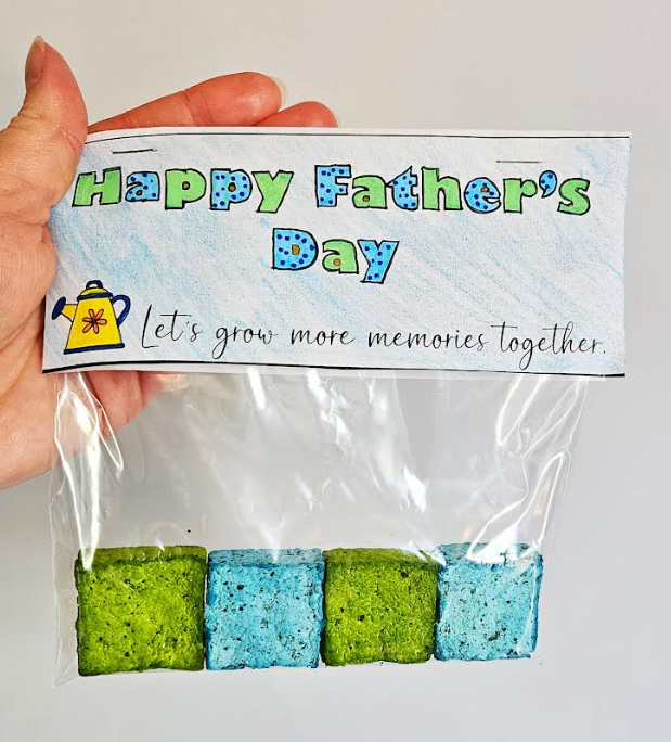 diy Fathers Day gift idea shows a person holding a fathers day gift bag with seed balls and a tag.