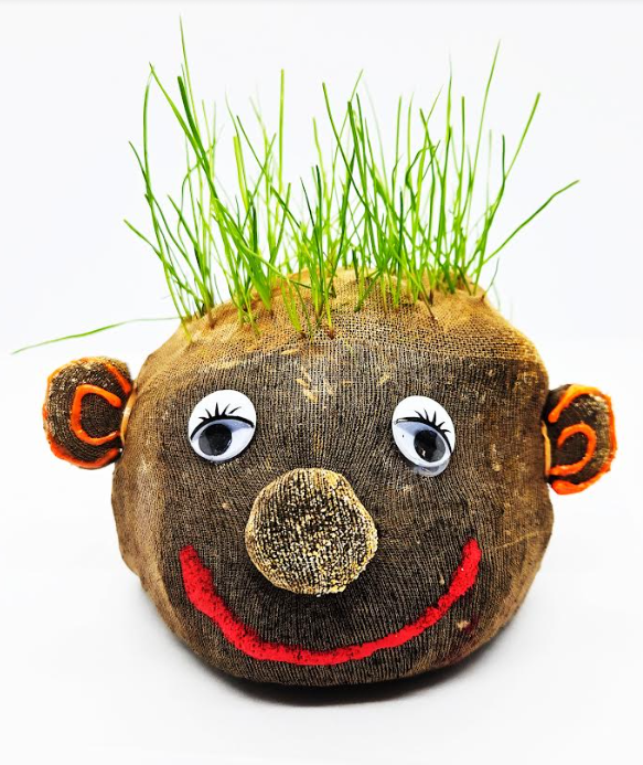 How to Make Grass Head Plants shows a grass head face with grass growing out the top as hair.