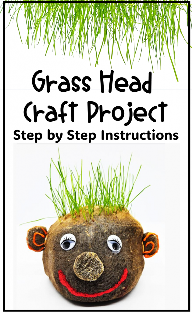 how to make grass head plants shows a pinterest pin.