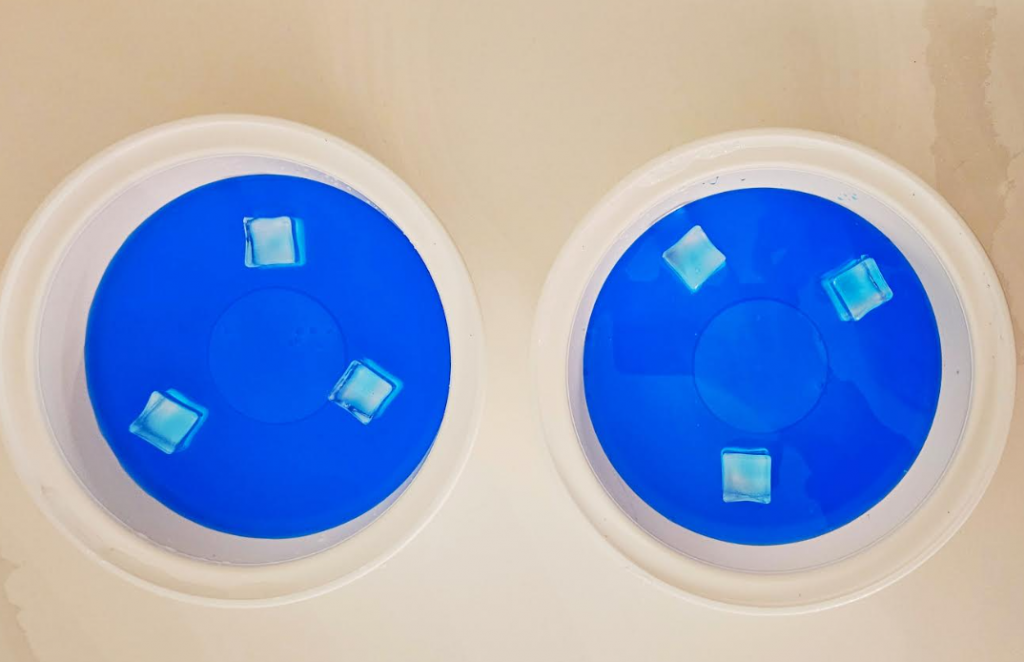 seasonal sensory activity shows two small tray with blue water and plastic ice cubes.