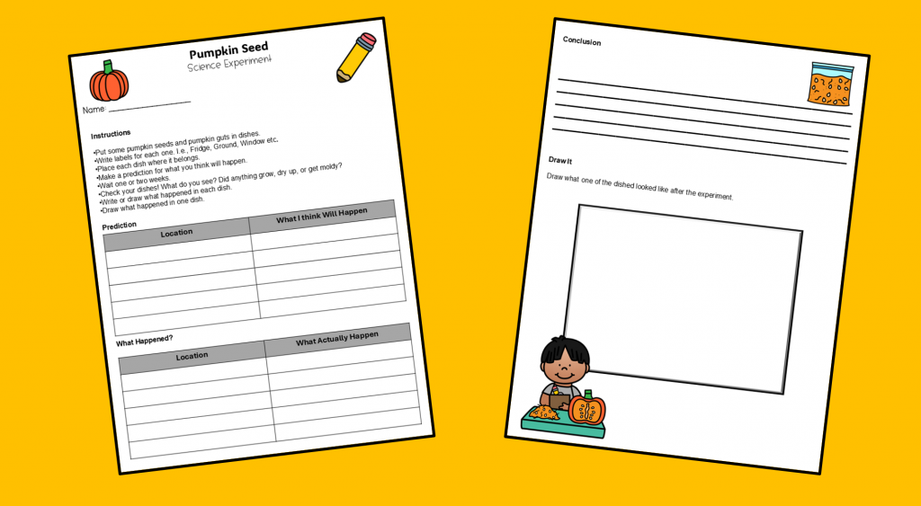 free fall science worksheets shows two printable sheets.