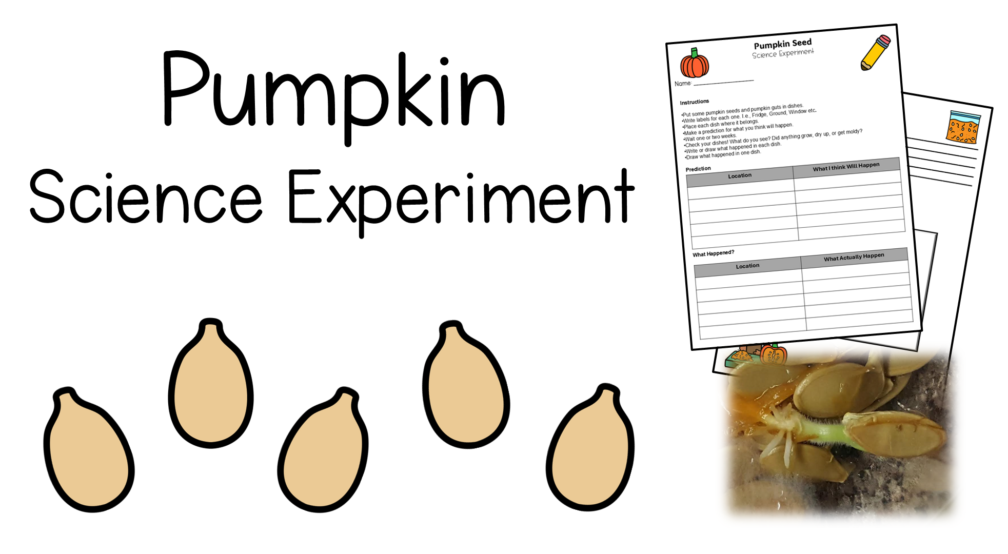 Free Pumpkin Science Experiment